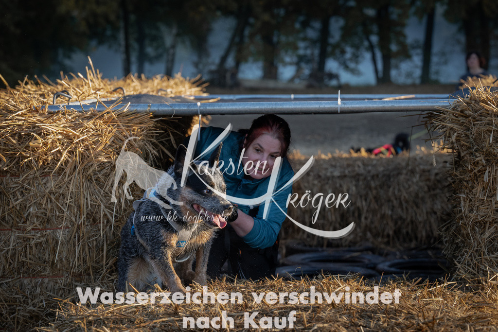 0914_ZZ92157 | kk-dogfotos