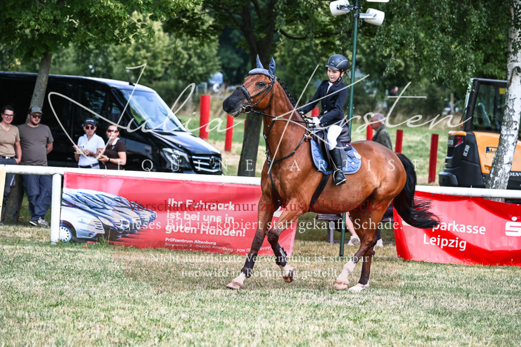 DSC_9685 | Pferde- und Turnierfotografie in Westsachsen. Pferdeportraits, Auftragszeichnungen und intuitive Kunst.
