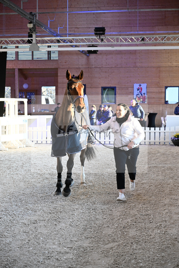 Kat-Nr. 11 Zara von Imhoff v. Catoki_Imhoff_14265249 | hf-fotografie - Realizzato con Pictrs.com
