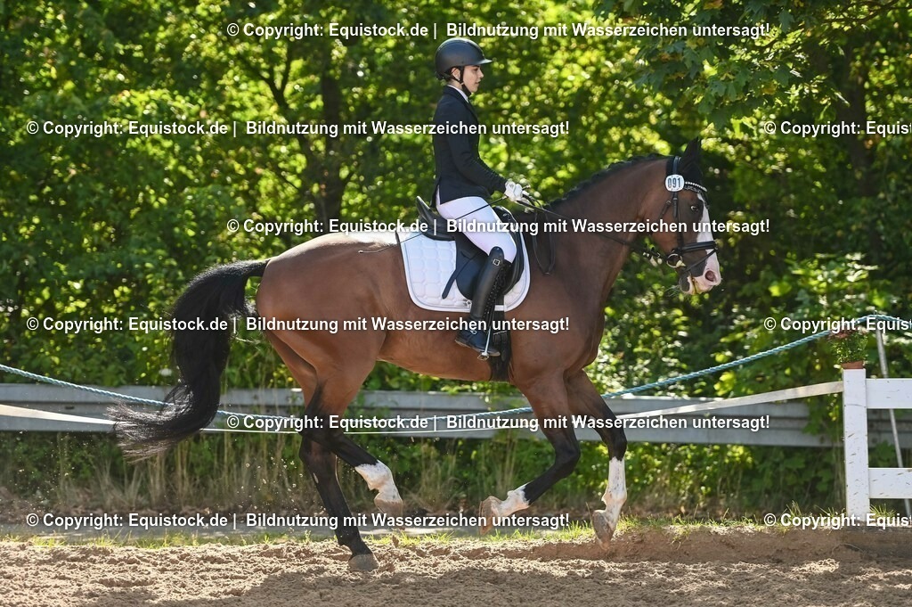 20230716_04_Dressurreiterprüfung Kl.A_0153 | equistock