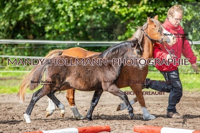 IMG_9256 | mandyhollmannphotographie