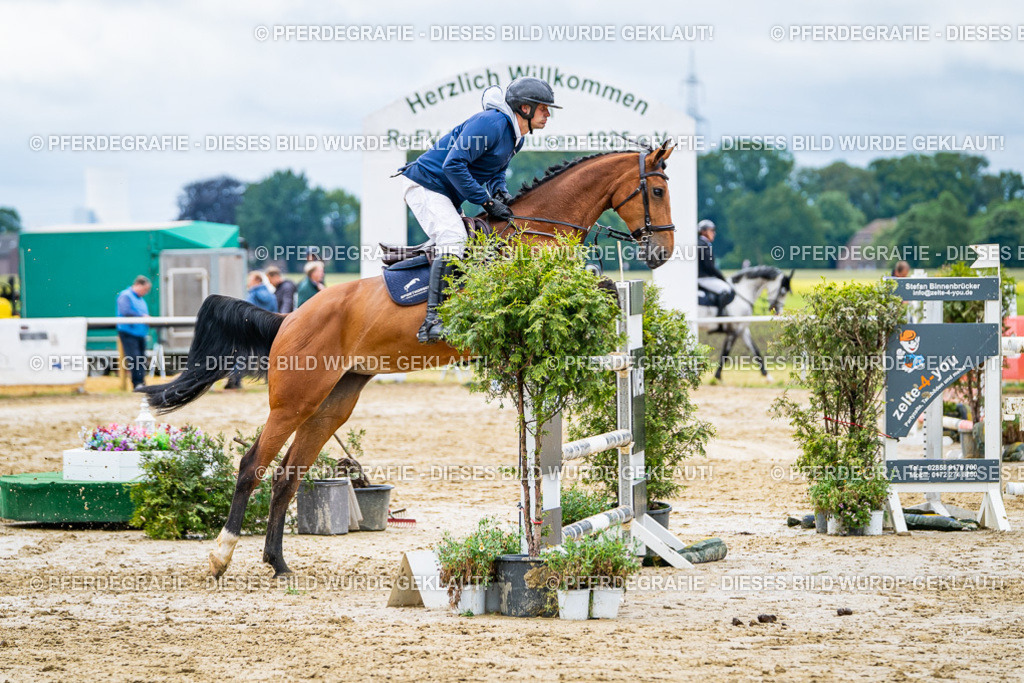 DSC04276 | Pferdegrafie