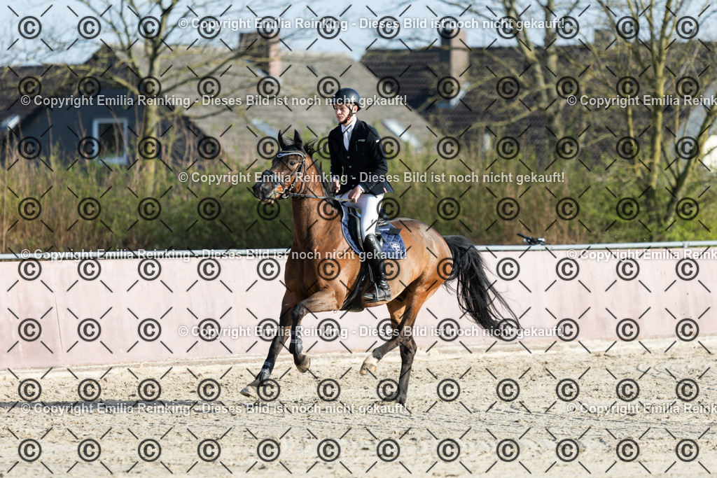 CL5A6118 | Emilia Reinking Fotografie - Realisiert mit Pictrs.com