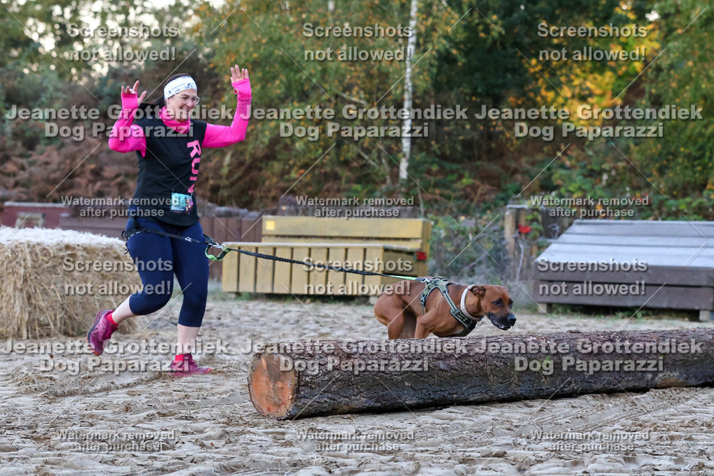 Dog Paparazzi - Strongdog 10-25-41 | Dog Paparazzi Jeanette Grottendiek Fotografie & Videografie - Realisiert mit Pictrs.com