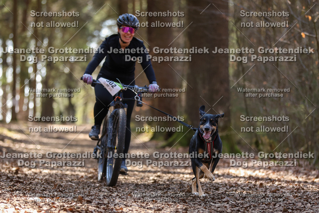 Dog Paparazzi - VCC26-1424 | Dog Paparazzi Jeanette Grottendiek Fotografie & Videografie - Realisiert mit Pictrs.com