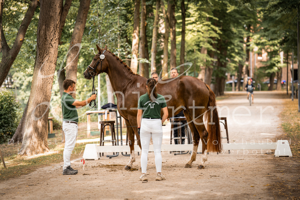 FrPfM00128 | Leoni Ertmer Photography - Realisiert mit Pictrs.com