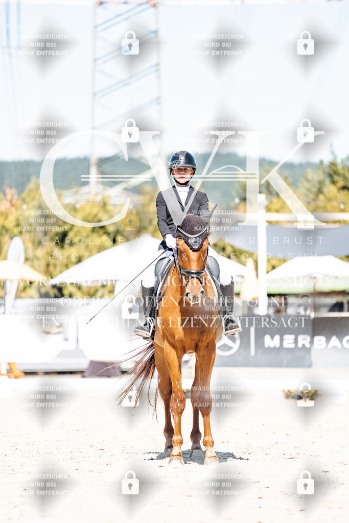 CK909573 | Turnierfotografie Pferdefotografie Trier Rheinland-Pfalz Pferdesport Reitsport Tierfotografie Sportfotografie Pferdevideo Pferdevideografie Equestrianvideography equestrianphotography  - Realisiert mit Pictrs.com