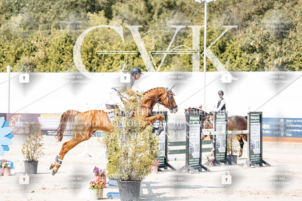 CK901457 | Turnierfotografie Pferdefotografie Trier Rheinland-Pfalz Pferdesport Reitsport Tierfotografie Sportfotografie Pferdevideo Pferdevideografie Equestrianvideography equestrianphotography  - Realisiert mit Pictrs.com