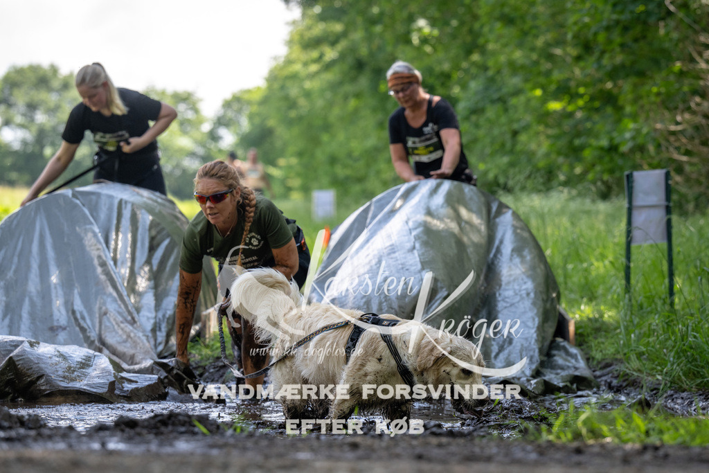 1155_ZZ90283 | kk-dogfotos