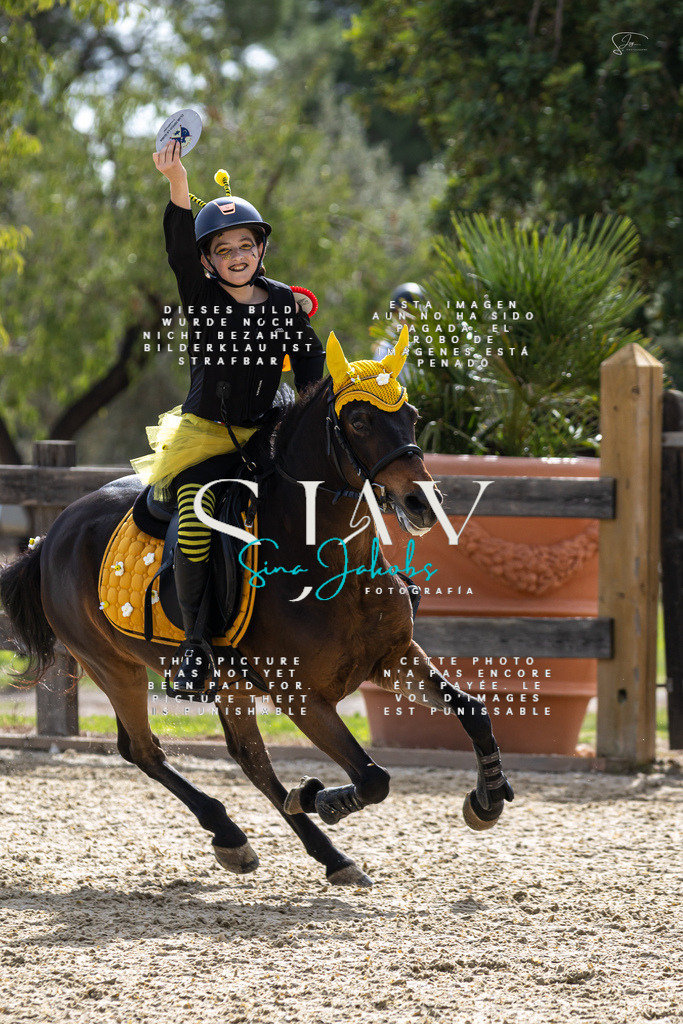 IMG_2785 | s-jay-photography - Realisiert mit Pictrs.com