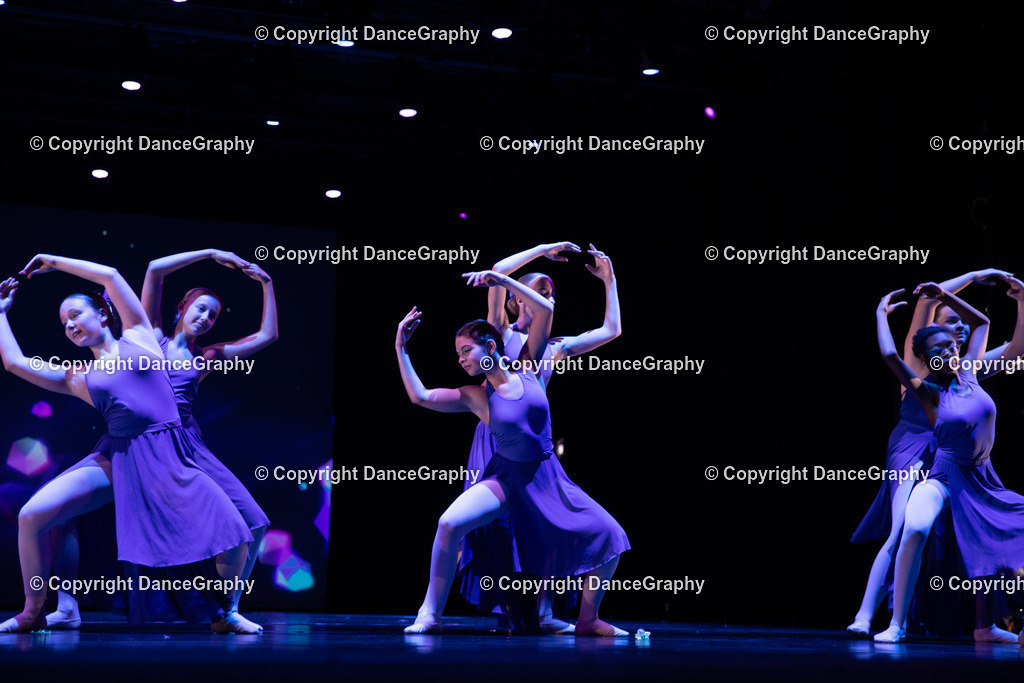 GPHY5131 | DanceGraphy - Realisiert mit Pictrs.com