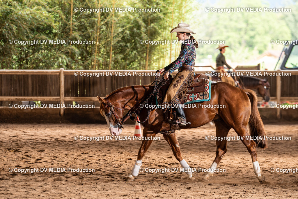 Erbach Tag 1-1060 | dv-media-shop - Realisiert mit Pictrs.com