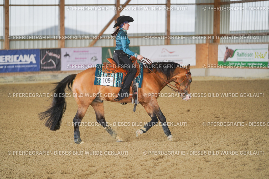 DSC09526 | Pferdegrafie