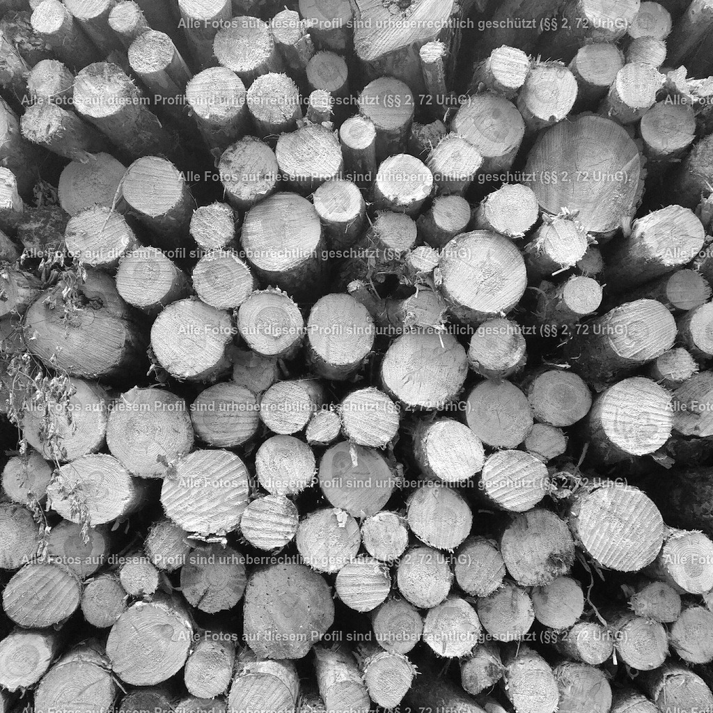 IMG_20200410_072106_342 | krollfotografie - Realized with Pictrs.com