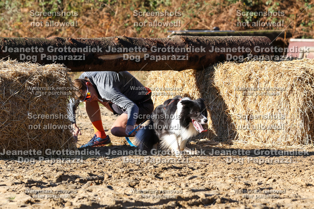 Dog Paparazzi - Strongdog 10-25-1762 | Dog Paparazzi Jeanette Grottendiek Fotografie & Videografie - Realisiert mit Pictrs.com