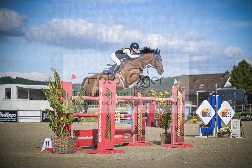 DOS_2749 | Entdecke hochwertige Reitturnierfotos von Foto Oger. Professionell, emotional und authentisch – jetzt Lieblingsmomente im Shop bestellen.Deutschlandweite Turnierfotografie. - Realisiert mit Pictrs.com