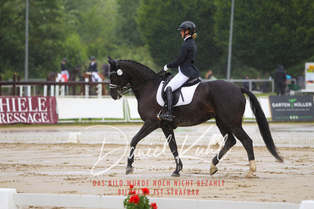 DKP40557 | Turniersportfotografie; Pferdefotografie; Dressurfotografie