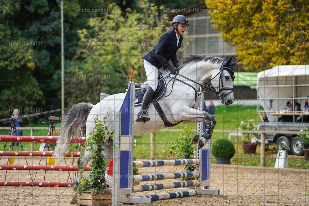 20221009-FAH08361 | Diessen am Ammersee, 2022, Dressur- und Springturnier, Reitsportbilder, Turnierfotografen Bayern, Pferdefotografen, Fotoagentur Herrmann, Turnierbilder