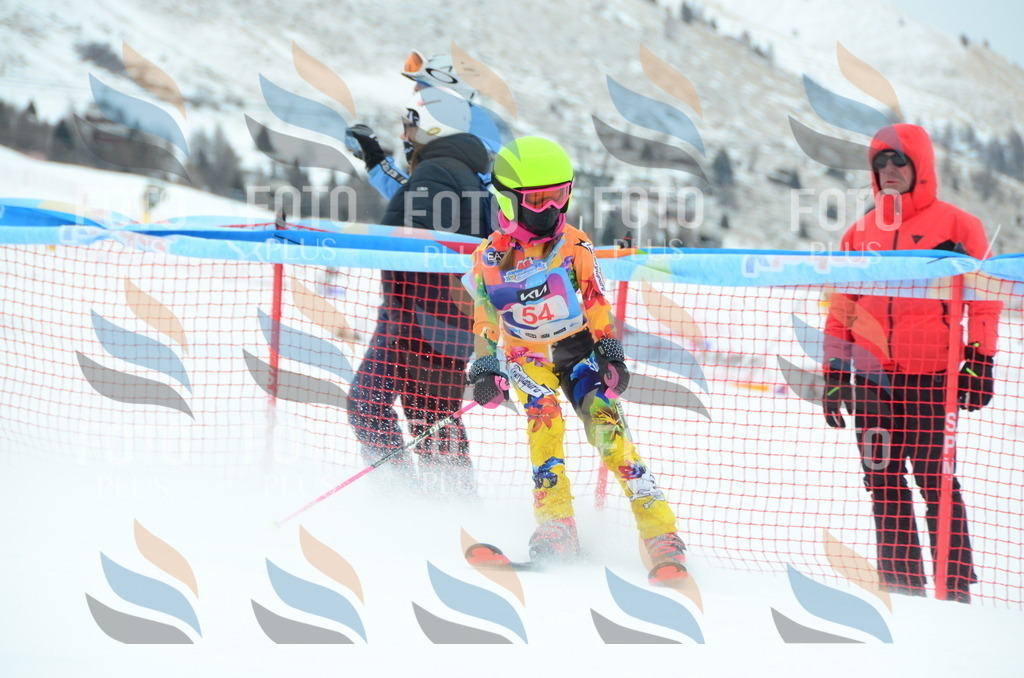 DSC_0974 | holidayphoto