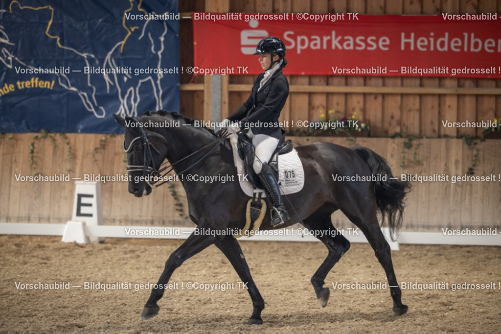 _D5A6097 | Emotionale Pferde- & People-Fotografie rund um Heidelberg, Leimen & Umgebung. Natürliche Fotos von Pferd, Mensch & Familie. Jetzt Termin sichern!