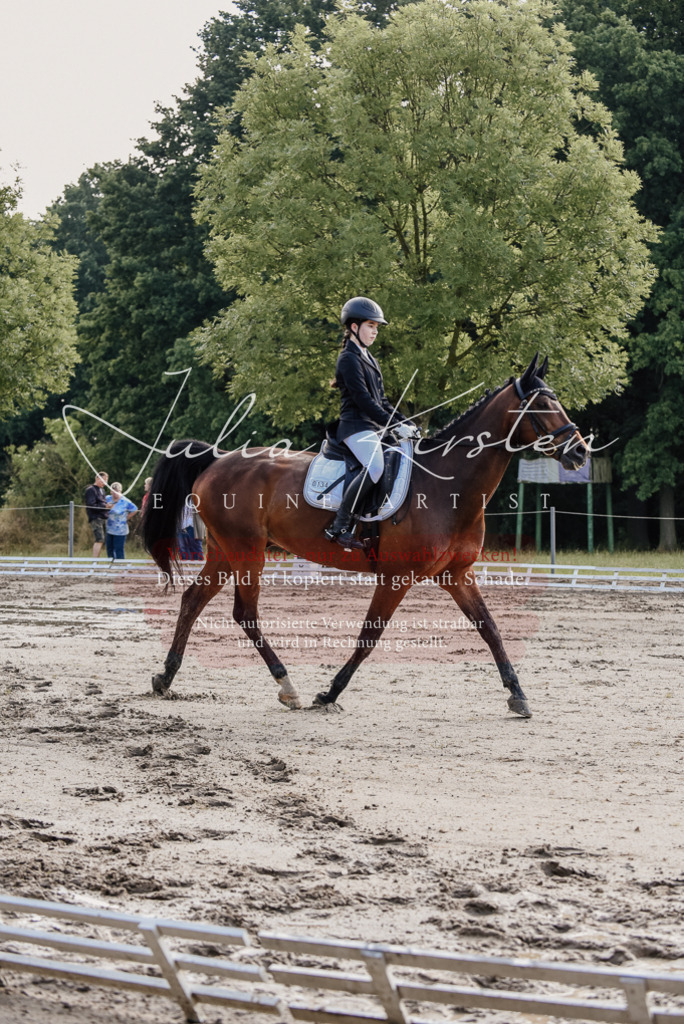 DSC_7949 | Pferde- und Turnierfotografie in Westsachsen. Pferdeportraits, Auftragszeichnungen und intuitive Kunst.