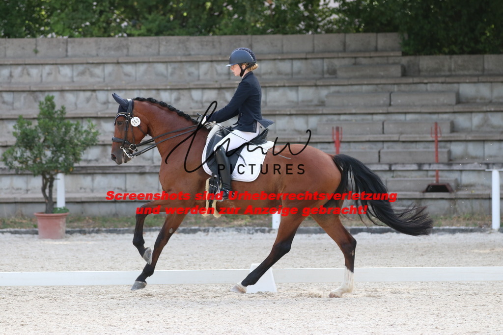 IMG_5677 | lmwpictures - Realisiert mit Pictrs.com