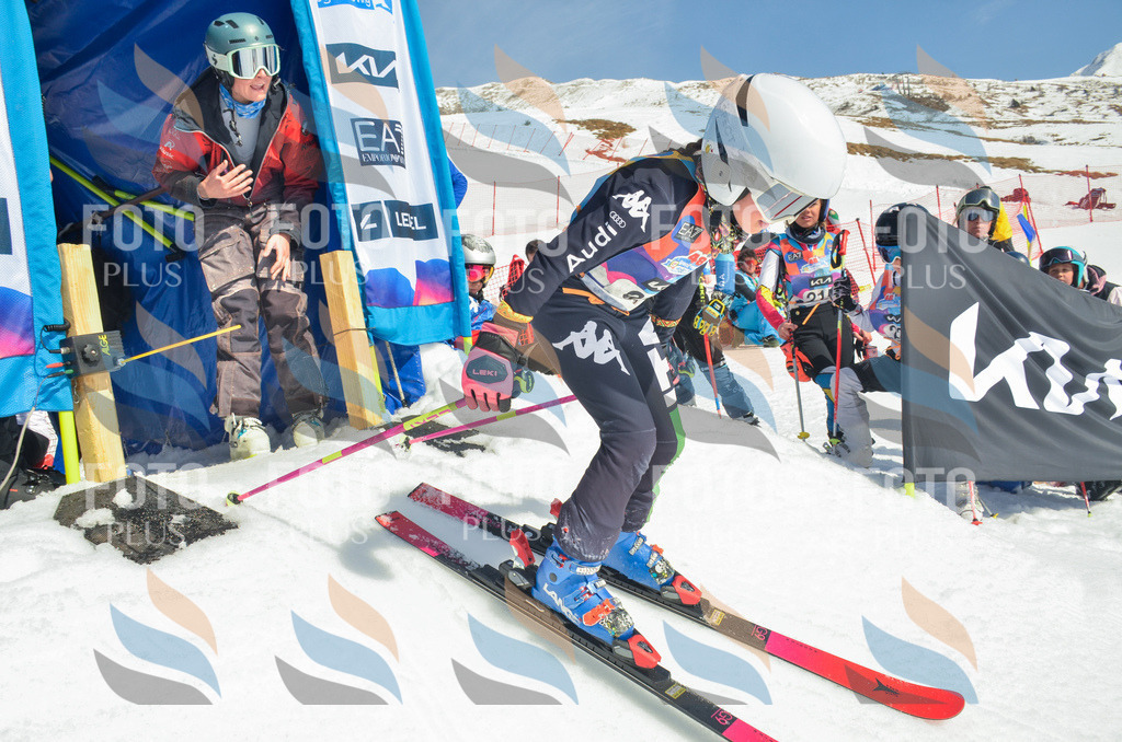 _ELE5759 | holidayphoto