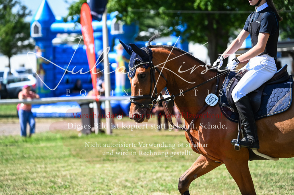 DSC_1453 | Pferde- und Turnierfotografie in Westsachsen. Pferdeportraits, Auftragszeichnungen und intuitive Kunst.