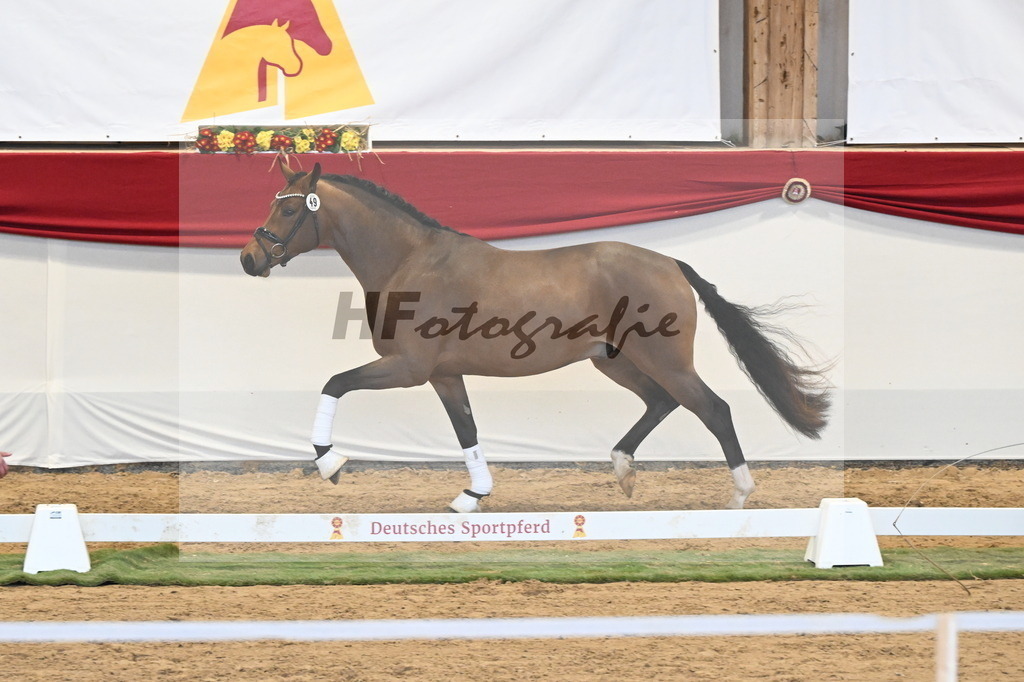 Kat.-Nr. 49 v. Fabletic_Bernadotte_ Voigtländer und Dimer_3260473 | hf-fotografie - Realisiert mit Pictrs.com