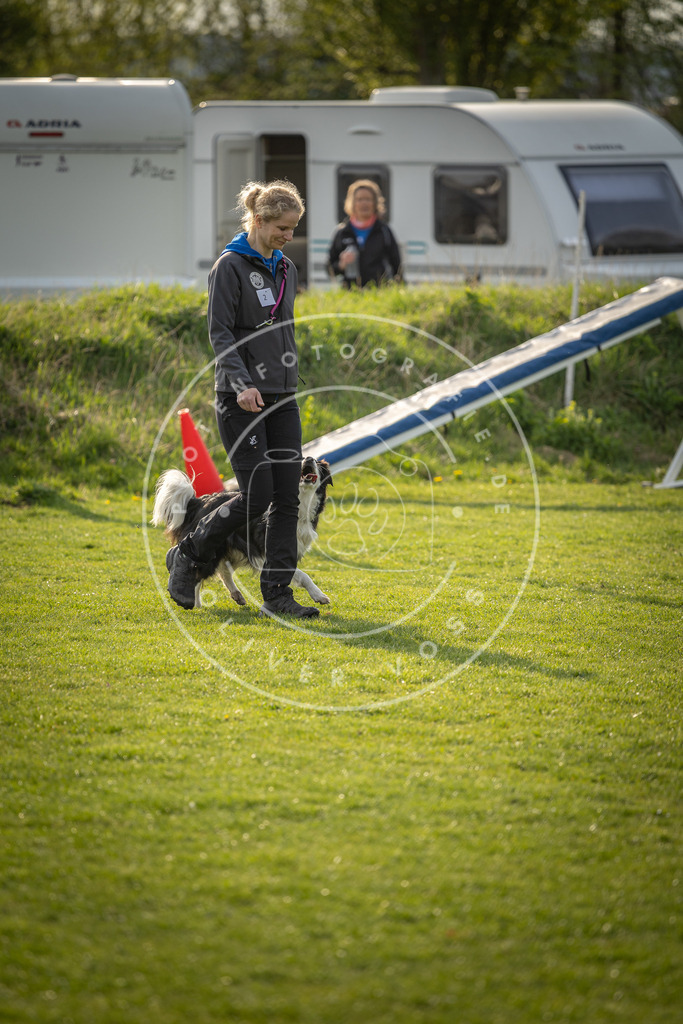 Pfotenfotografie_DV3A4746 | Hundefotografie, Tierfotograf, Pfotenfotografie, Fotoshooting Hund, Hunde Portrait, Hundesport, Hundeportraits, Heideshooting, Hunde, Sportfotograf, Hundefotograf, Turnierhundsport, THS,  - Realisiert mit Pictrs.com