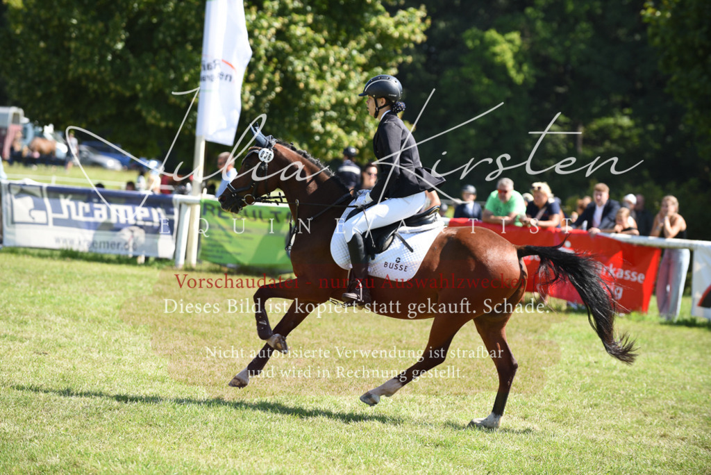 DSC_9571 | Pferde- und Turnierfotografie in Westsachsen. Pferdeportraits, Auftragszeichnungen und intuitive Kunst.