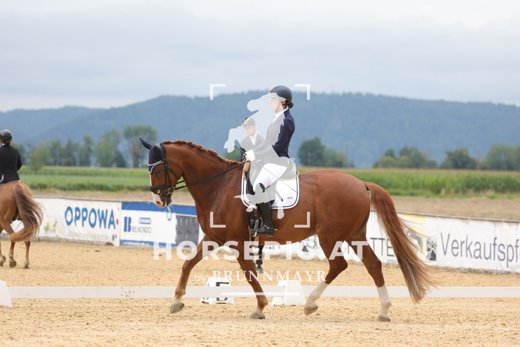 0P6A8611 | Willkommen bei Brunnmayr - Design & Fotografie – Ihrem Spezialisten für Reitturniere und Pferdeveranstaltungen in Oberösterreich, Salzburg und Bayern! Seit über 17 Jahren sind wir leidenschaftlich dabei.