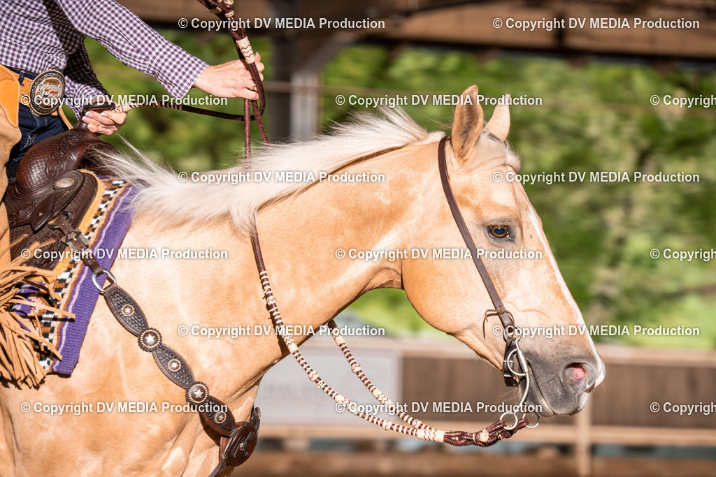 Erbach Tag 2-490 | dv-media-shop - Realisiert mit Pictrs.com