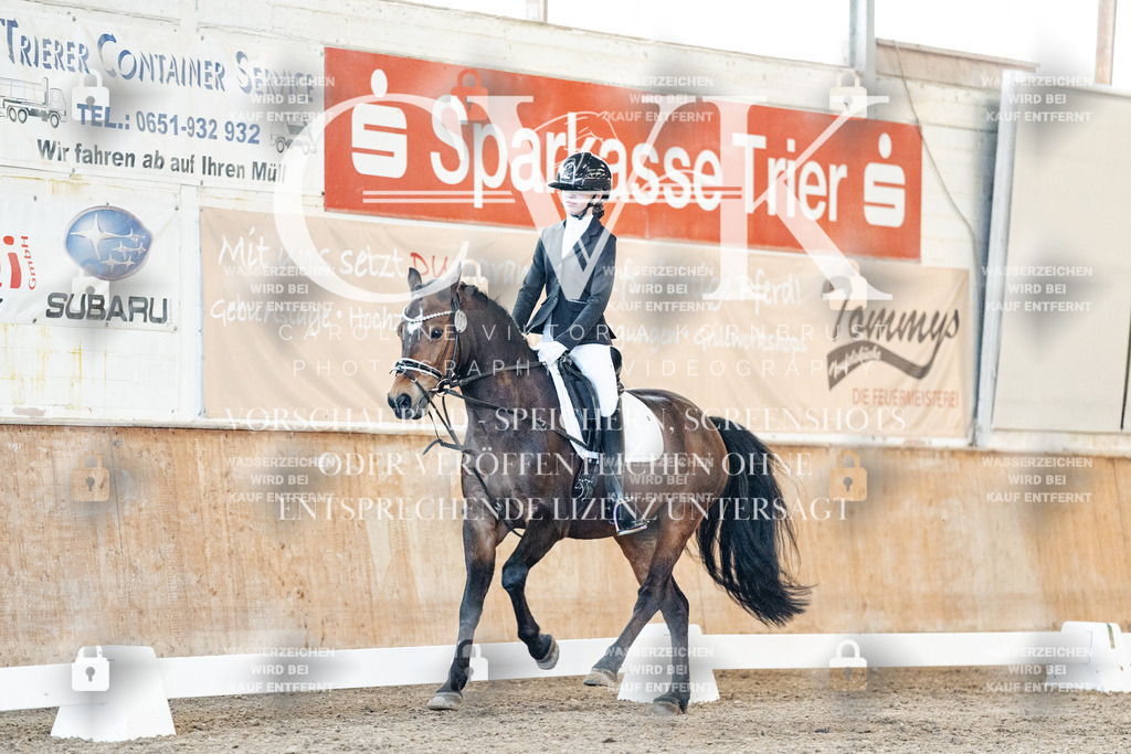 CK906628 | Turnierfotografie Pferdefotografie Trier Rheinland-Pfalz Pferdesport Reitsport Tierfotografie Sportfotografie Pferdevideo Pferdevideografie Equestrianvideography equestrianphotography  - Realisiert mit Pictrs.com