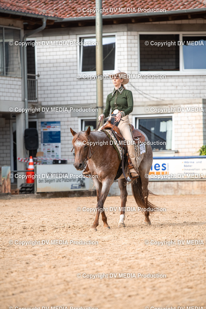 EWP_5734 | dv-media-shop - Realisiert mit Pictrs.com