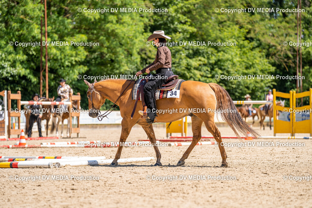 Zeiskam Tag 2-1126 | dv-media-shop - Realisiert mit Pictrs.com