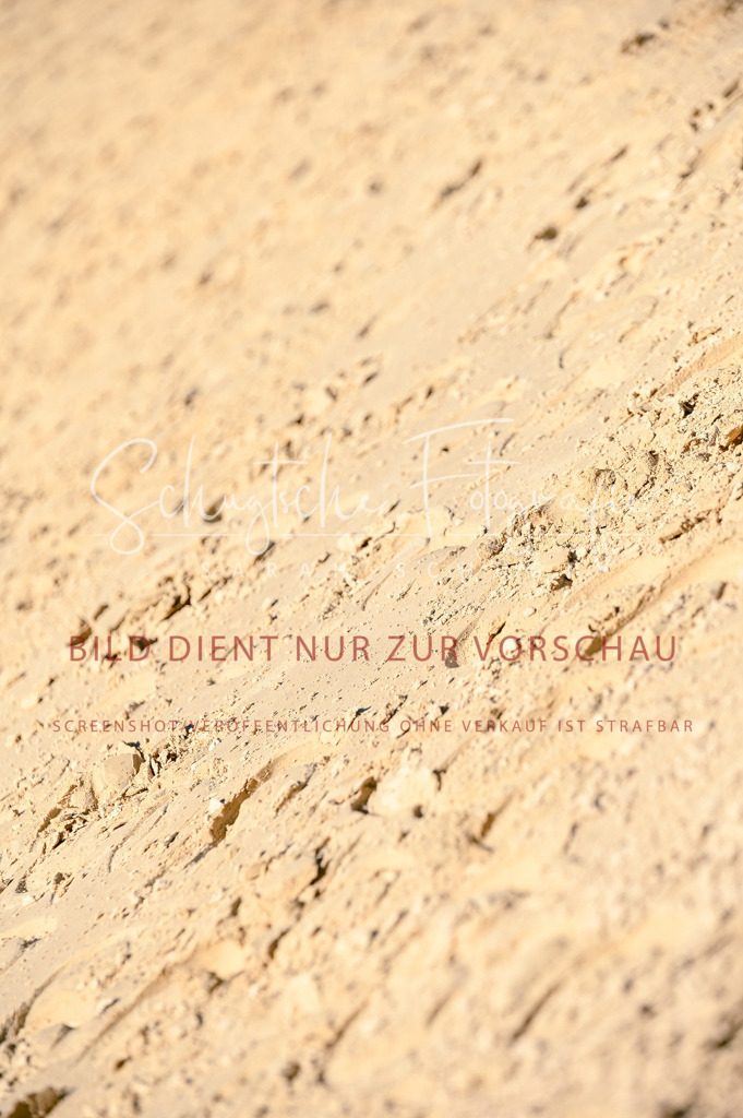 Schugtsche-Aluta25-50.Dressurpferdeprf.L-178 | Schugtsche Fotografie - Realisiert mit Pictrs.com