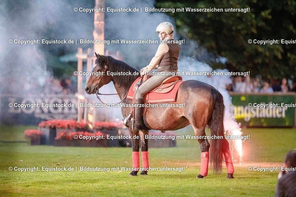 20250606_Lange-Pferdenacht_0948 | Foto: Thomas Hartig