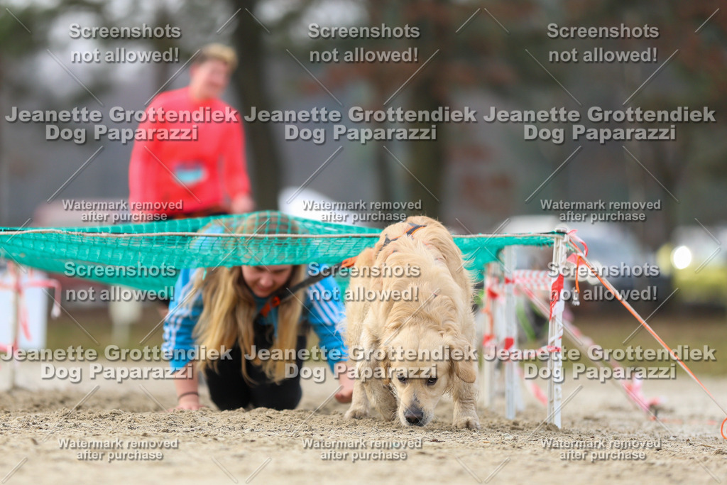 Dog Paparazzi - Strongdog North Mrz26-4667 | Dog Paparazzi Jeanette Grottendiek Fotografie & Videografie - Realisiert mit Pictrs.com