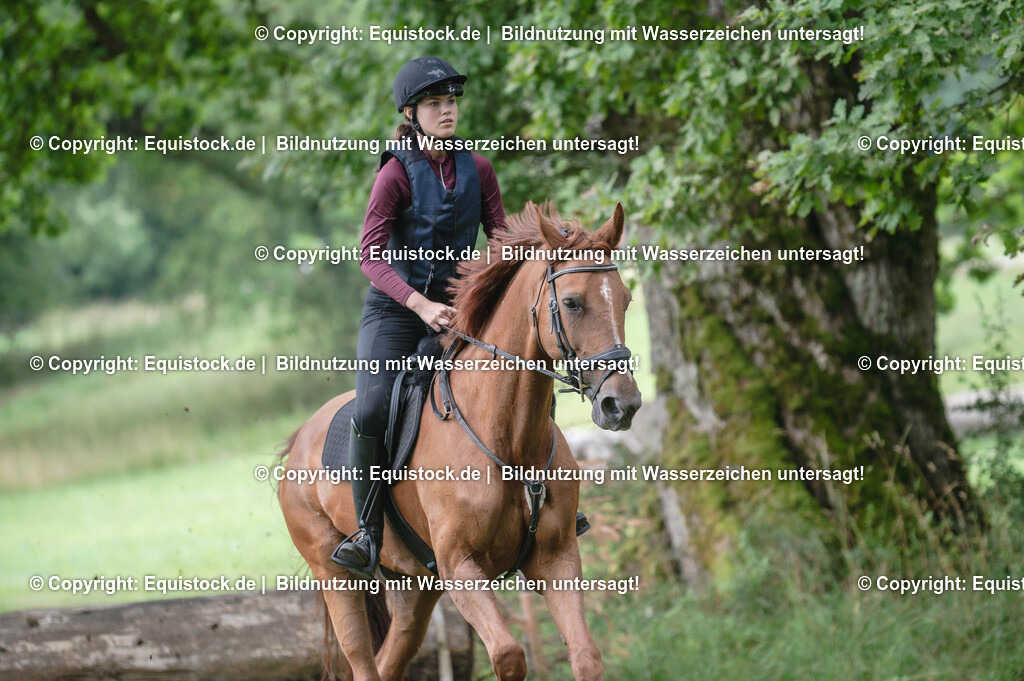 20250726_Vielseitigkeitslehrgang-Marbach_0238 | Foto: Thomas Hartig