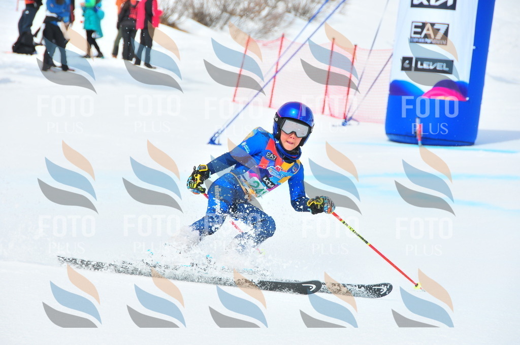 DSC_2230 | holidayphoto