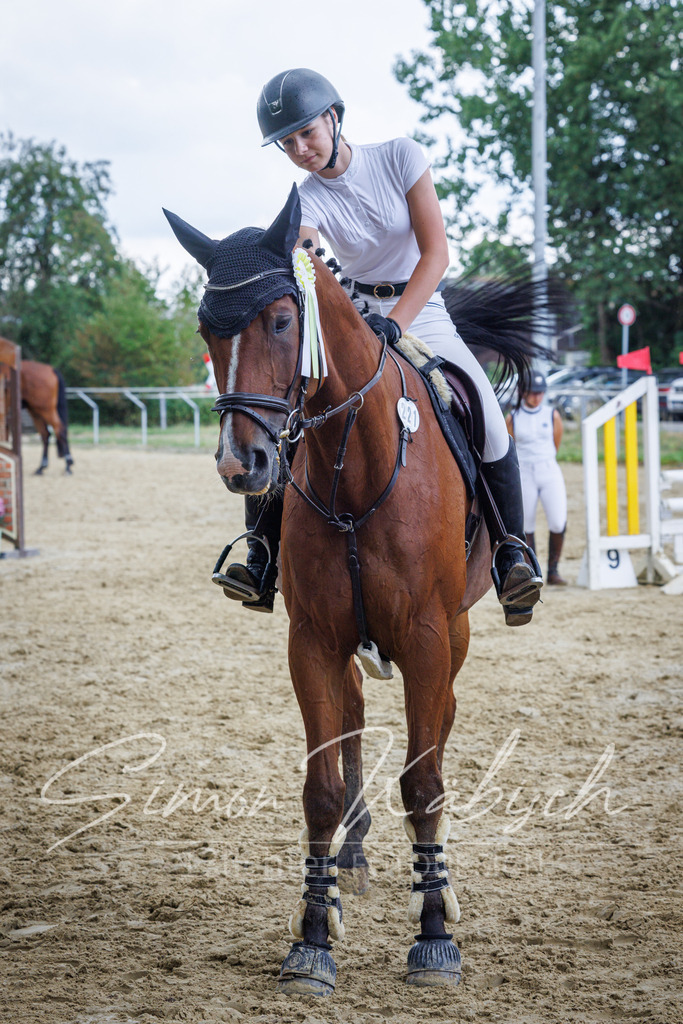 20260705-_3LI4730 | Tierfotografie Pferde, Hunde, Katzen, Haustiere.
Turnierfotografie Reitturniere, Reiten, Springreiten, Dressur in Hanau, dem Main-Kinzig-Kreis und dem Rhein-Main- Gebiet um Frankfurt