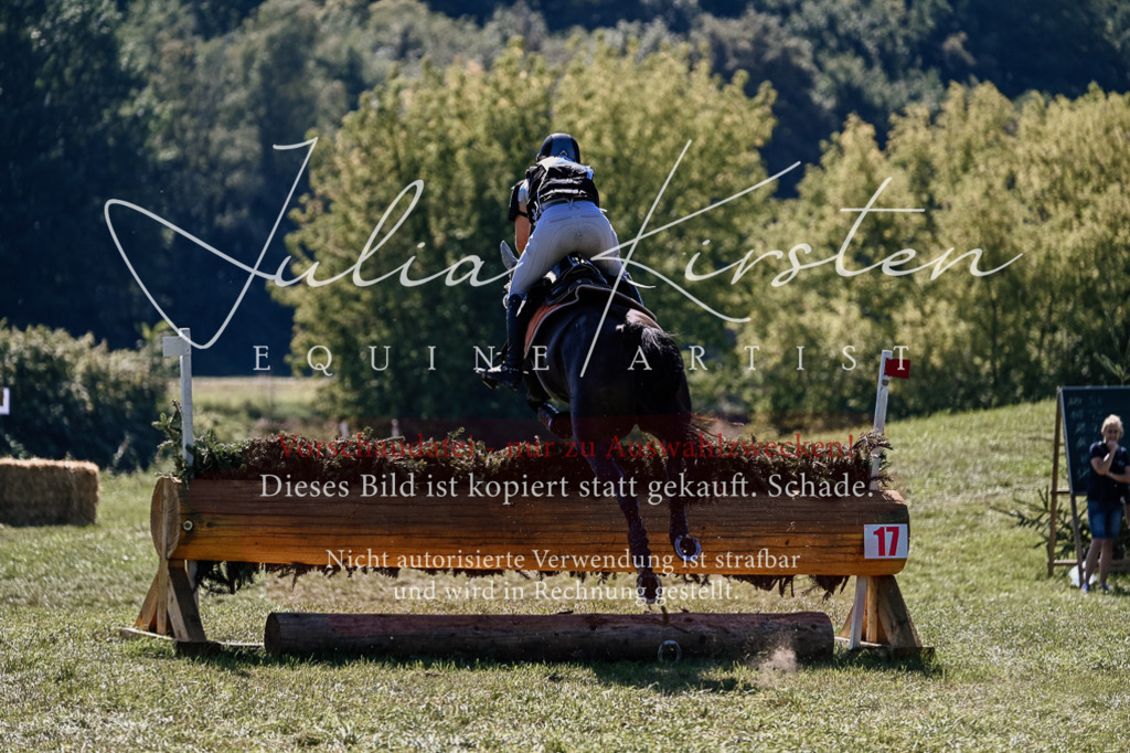 DSC_1816 | Pferde- und Turnierfotografie in Westsachsen. Pferdeportraits, Auftragszeichnungen und intuitive Kunst.