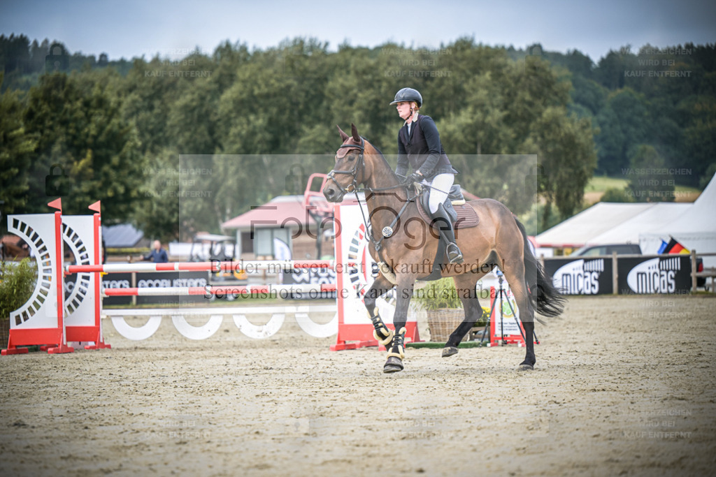 DOS_1582 | Entdecke hochwertige Reitturnierfotos von Foto Oger. Professionell, emotional und authentisch – jetzt Lieblingsmomente im Shop bestellen. - Realisiert mit Pictrs.com