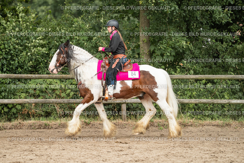 DSC03820 | Pferdegrafie