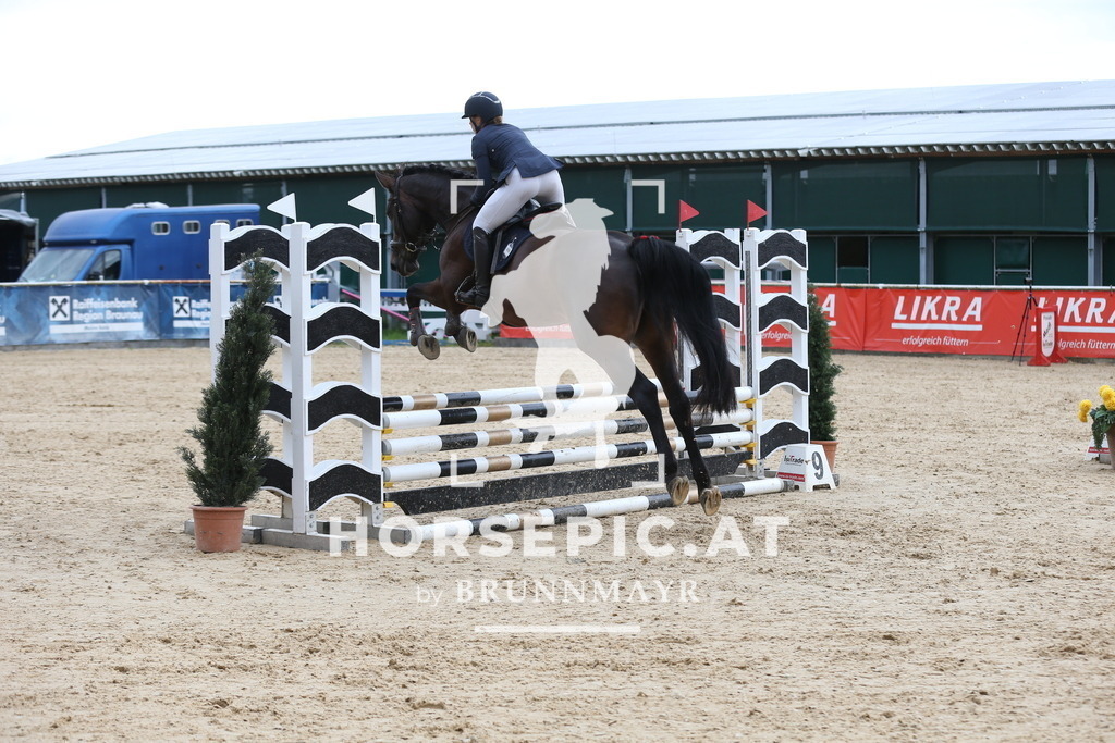 DL2Q4789 | Willkommen bei Brunnmayr - Design & Fotografie – Ihrem Spezialisten für Reitturniere und Pferdeveranstaltungen in Oberösterreich, Salzburg und Bayern! Seit über 17 Jahren sind wir leidenschaftlich dabei.
