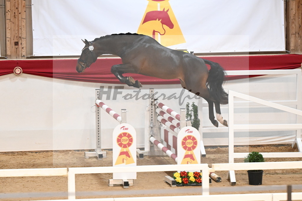 Kat.-Nr. 25 v. Jasper_Stabhalterhof_3261778 | hf-fotografie - Realizzato con Pictrs.com