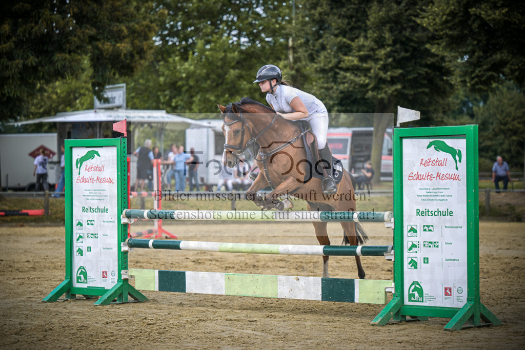 DOS_9741 | Entdecke hochwertige Reitturnierfotos von Foto Oger. Professionell, emotional und authentisch – jetzt Lieblingsmomente im Shop bestellen.Deutschlandweite Turnierfotografie. - Realisiert mit Pictrs.com