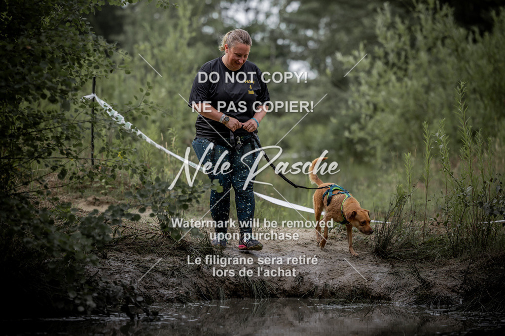 nelerasche_so0800-0930_96 | nelerasche