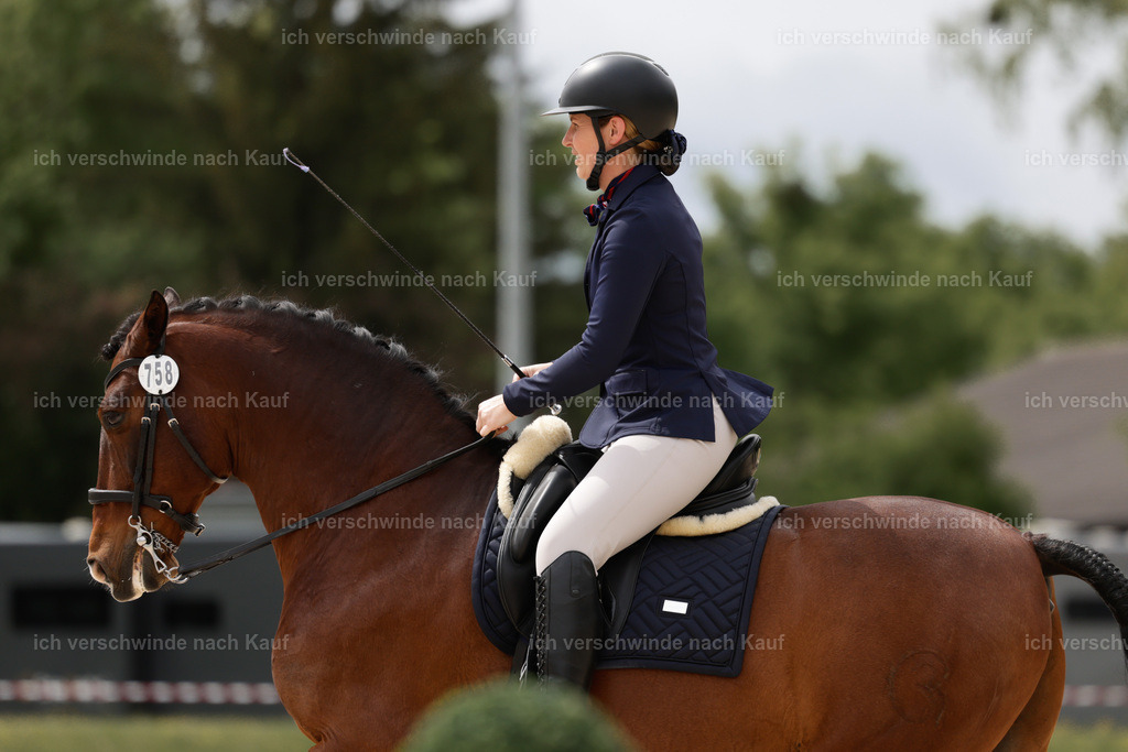 PI26_DR_758_Stoibphotography_AM10270.jpg | working equitationturnier fotograf videograf stoibphotography marixx film working equitation deutschland reitsport turnierfotografie eventfotografie equestrian events